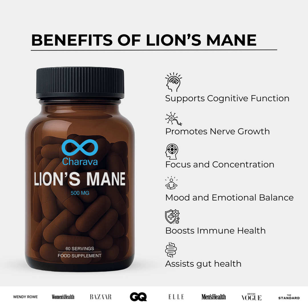 Lions Mane Mushroom 500mg